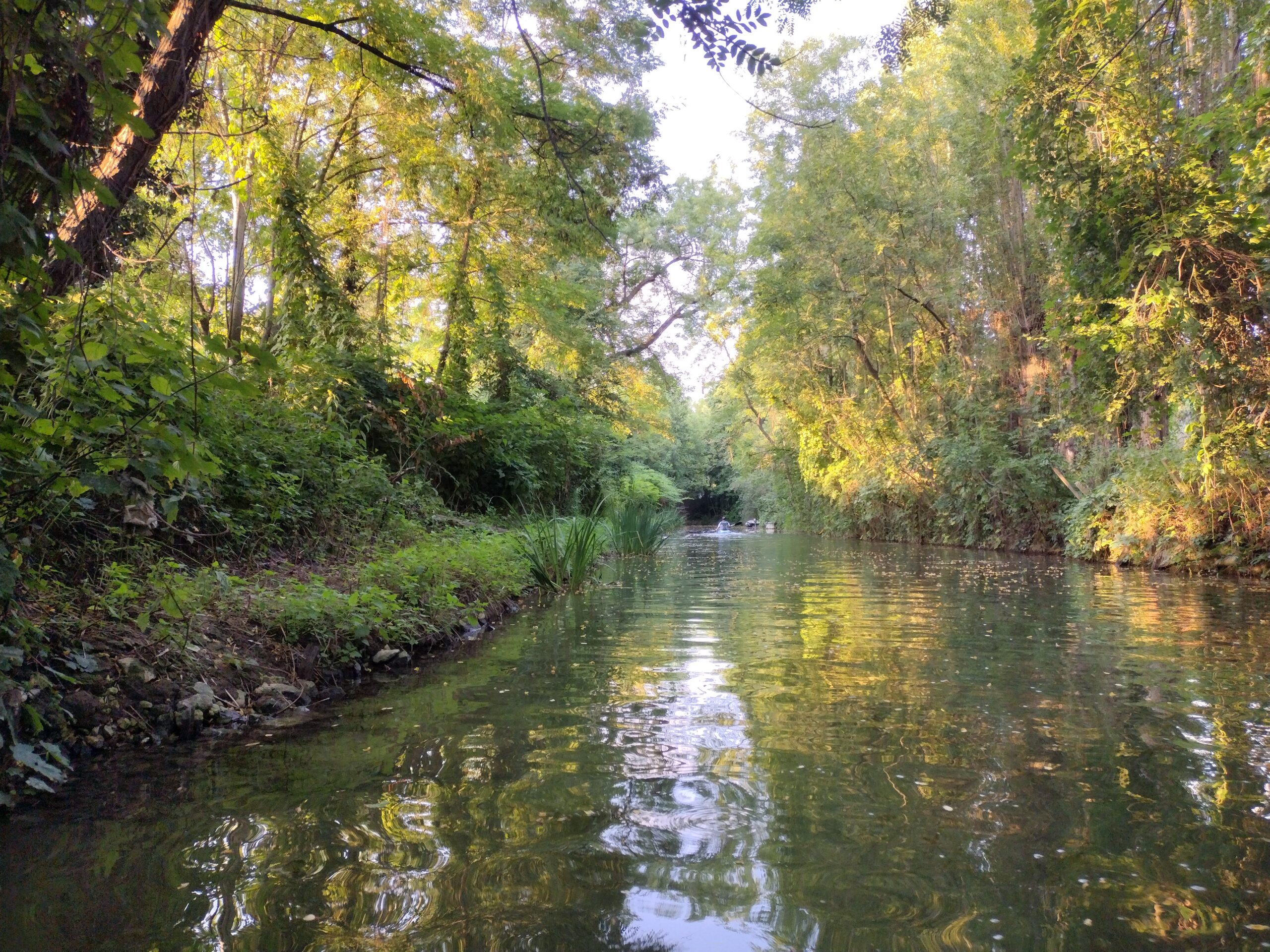 Canal risbermes